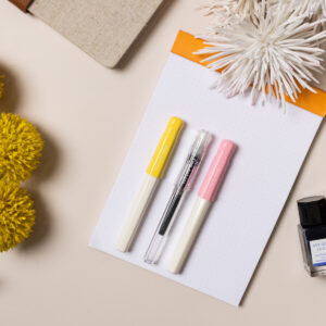 Pilot Kakuno Fountain Pen Fine Nib